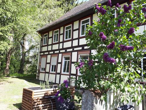 Foto - Naturgrundstück mit Haus und Nebengebäude an der Jeetze