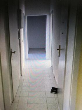 Foto - 3 Zimmer Etagenwohnung zur Miete in Zingst