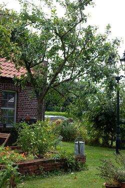 Foto - Einfamilienhaus in Wangerland