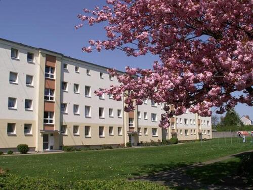 Foto - 3-Zimmerwohnung mit Balkon - 750,00 EUR Kaltmiete,