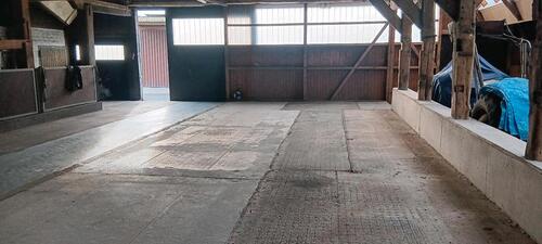 Foto - andere in Horst (Holstein)