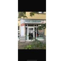 Eingerichteter Laden zum Vermieten - Dresden Pieschen