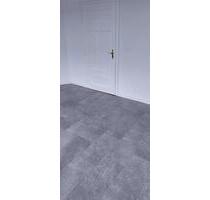 Zentral gelegene 2-Zimmer-Wohnung in der Waldstr. in Offenbach - Offenbach am Main Bieberer Berg