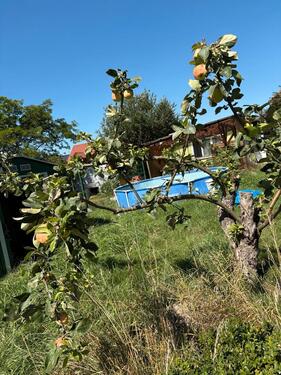 Foto - Grundst&uuml;ck in Körner zur Miete