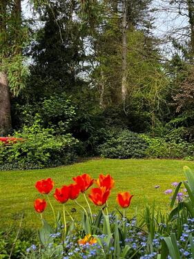 Foto - 8 Zimmer Bungalow zum Kaufen in Bremen