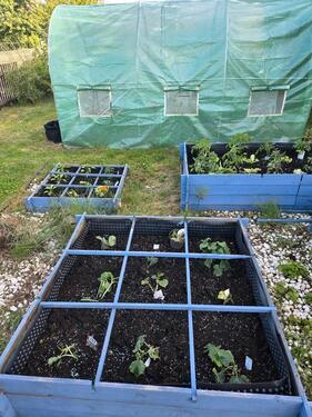 Foto - Grundst&uuml;ck zur Miete in Weida