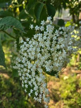 Foto - Grundst&uuml;ck in Weida