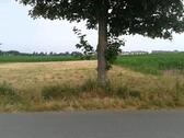 Foto - Grundstück in Gägelow