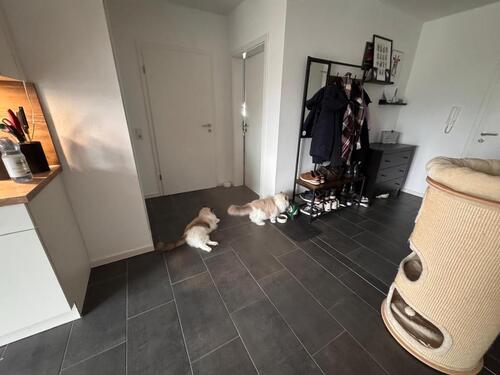 Foto - Etagenwohnung in Westerholt zur Miete