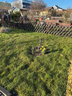 Foto - Grundst&uuml;ck zur Miete in Solingen