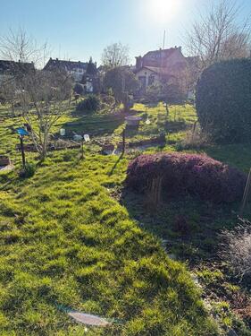 Foto - Grundst&uuml;ck in Solingen
