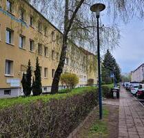 Helle Wohnung in Erfurt Nähe Domplatz zu vermieten