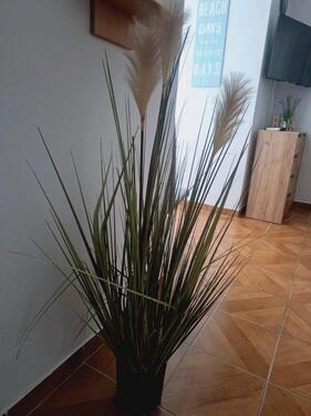 Foto - 