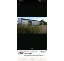 Neue Halle zu vermieten - 5,00 EUR Kaltmiete, ca.  5,00 m² in Flensburg (PLZ: 24941) Falkenberg