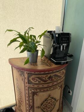 Foto - Bungalow in Aschaffenburg zum Kaufen