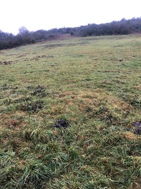 Foto - Grundst&uuml;ck zur Miete in Herborn