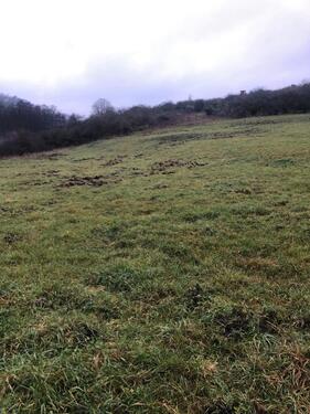 Foto - Grundst&uuml;ck in Herborn