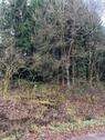 Foto - Waldgrundstück - 6,00&nbsp;EUR Kaltmiete, ca.&nbsp; 0,00&nbsp;m&sup2;