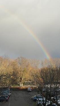 Foto - Möbliertes Zimmer in Mainz ab 01.04 (ruhige Lage)، Nachmieter su