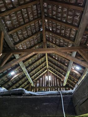 Foto - Einfamilienhaus in Bad Krozingen zur Miete