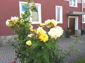 Foto - Große 1,5 Zi Wohn. Hof mit Einbauküche, Stellplatz und Flair
