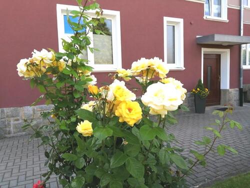 Foto - Große 1,5 Zi Wohn. Hof mit Einbauküche, Stellplatz und Flair
