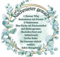 2 Raum wohnung hell sofort bezugsfertig - Eggesin