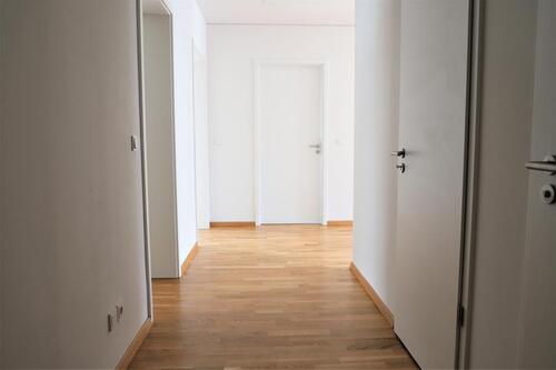 Foto - 3 Zimmer Etagenwohnung zur Miete in Freiburg im Breisgau