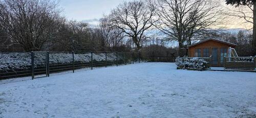 Foto - Einfamilienhaus in Glücksburg (Ostsee) zum Kaufen