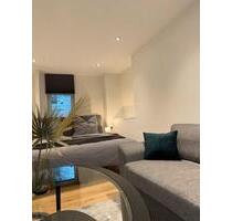 Möbelierte 1,5 Wohnung in Neckarsteinach