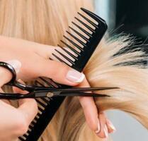 Friseurbetrieb zu verpachten - 750,00 EUR Kaltmiete, in Sauensiek (PLZ: 21644)