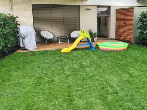 Foto - 4 Zimmer Erdgeschoßwohnung zur Miete in Speyer