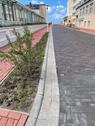 Foto - andere in Norderney