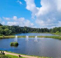 LAST MINUTE im Harz - Urlaub mit Hund - Goslar OS Hahnenklee-Bockswiese