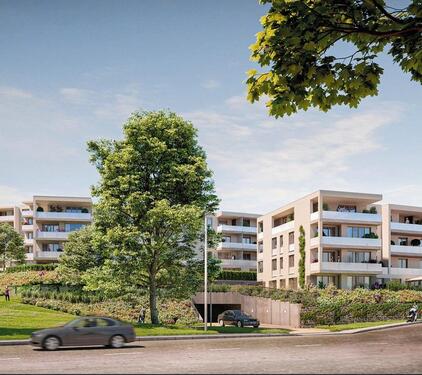 Foto - andere in Dresden