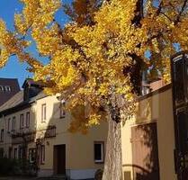 4-Zimmer Wohnung im Herzen von Grimma