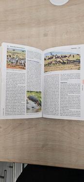 Foto - andere in Köln