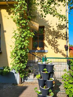 Foto - andere in Wallertheim