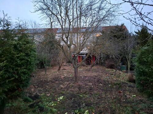 Foto - Grundst&uuml;ck zur Miete in Haldensleben