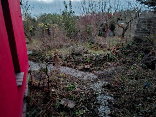 Foto - Grundst&uuml;ck in Haldensleben