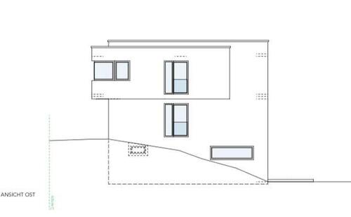 Foto - Einfamilienhaus zum Kaufen in Frankenthal (Pfalz)