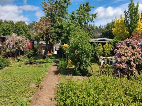 Foto - Grundstück zur Miete in Cottbus