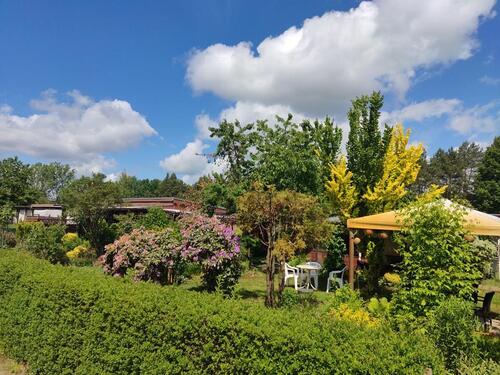 Foto - Grundstück in Cottbus