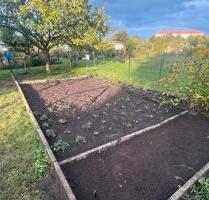 Pachtgarten Pasewalk 300qm - 1.000,00 EUR Kaltmiete, ca.  0,00 m² in Pasewalk (PLZ: 17309)