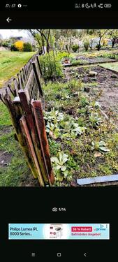Foto - Grundstück zur Miete in Eberswalde