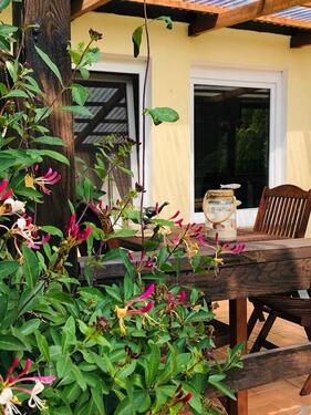 Foto - andere in Kröslin