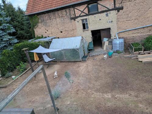 Foto - Einfamilienhaus in Eisleben (Lutherstadt) zum Kaufen