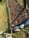 Foto - Grundstück in Coppenbrügge zur Miete