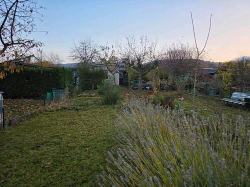 Foto - pachtgarten kleingarten schrebergarten in Ilsenburg abzugeben