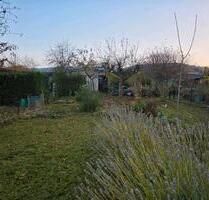 pachtgarten kleingarten schrebergarten in Ilsenburg abzugeben - Wernigerode